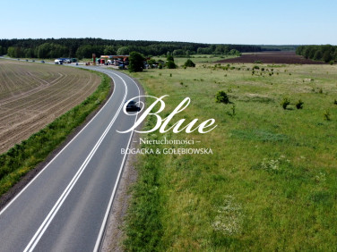 Działka rolna CHOJNA