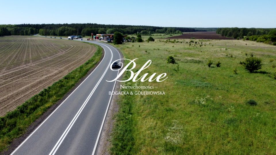 Działka rolna CHOJNA