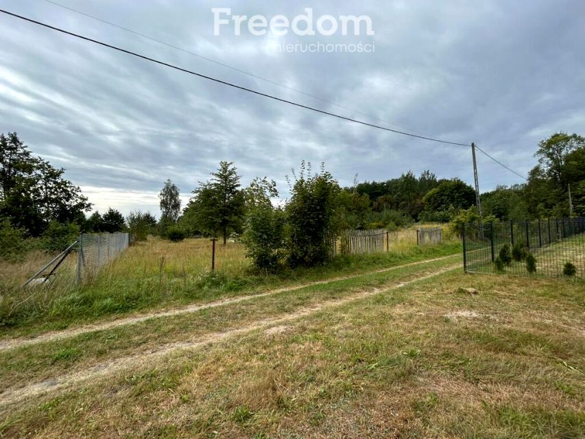 Działka przy lesie