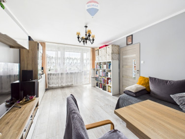 Mieszkanie Kraków sprzedaż