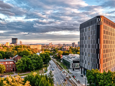 Lokal Katowice