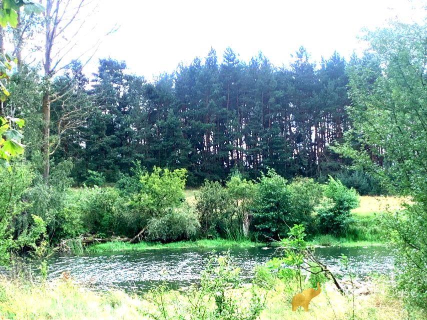 Działka rekreacyjna Kalinowiec