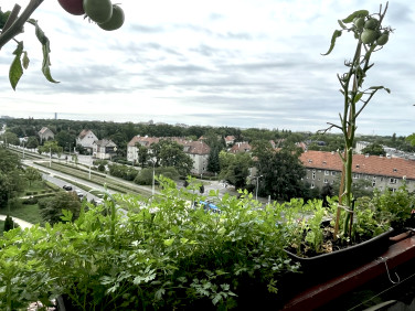 Mieszkanie Wrocław
