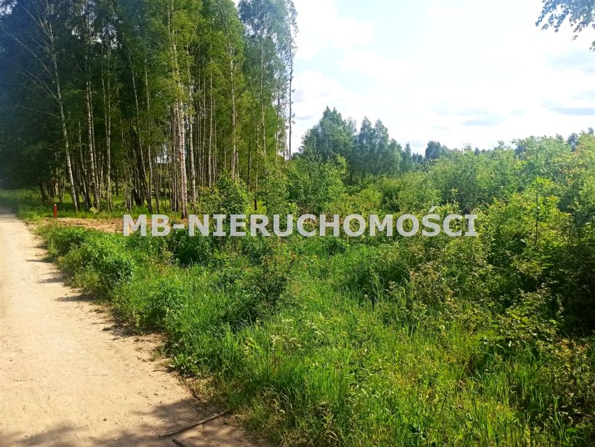Działka nad jeziorem