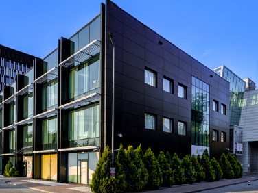 Lokal Katowice