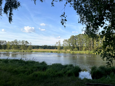 Działka leśna Wieliszew