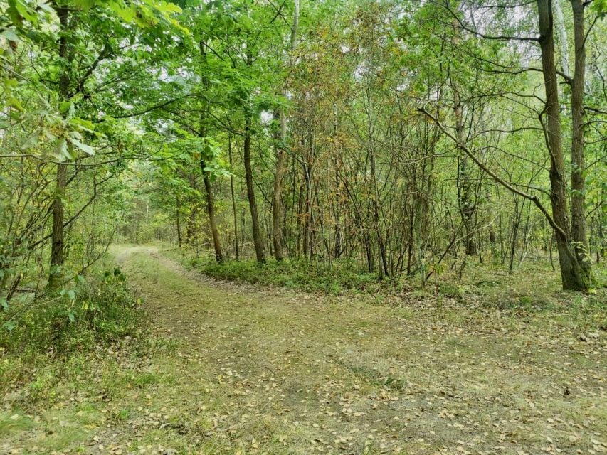 Działka rekreacyjna Strugi Krzywickie