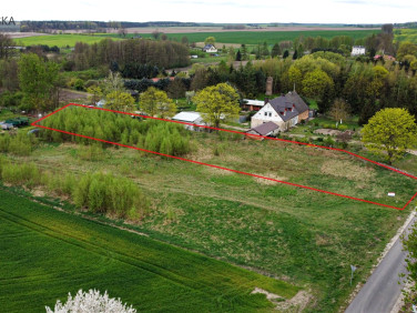 Działka Leżenica