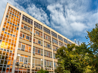 Lokal Warszawa