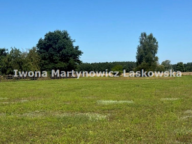 Działka Niemstów