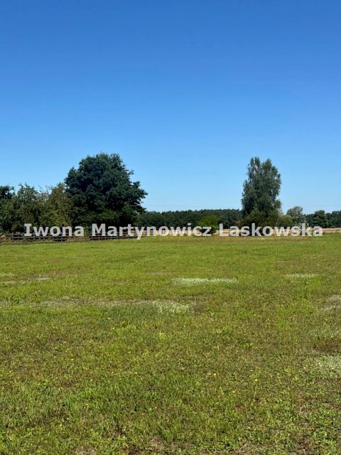 Działka Niemstów