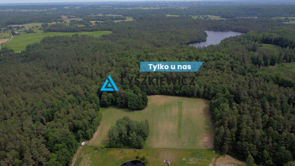 Działka siedliskowa Rokity