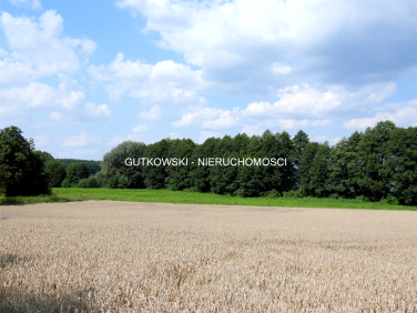 Działka rolna Piotrowice