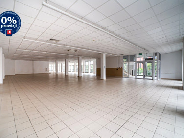 Lokal Legnica