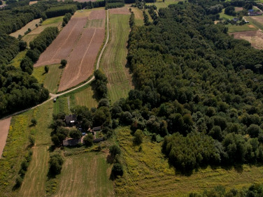 Działka budowlana Pilzno