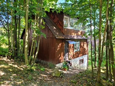 Dom Stróża sprzedaż