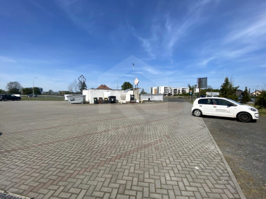 Lokal Opole