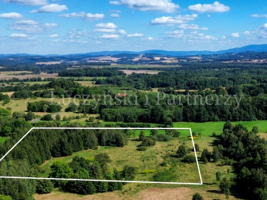 Działka siedliskowa Kłopotnica