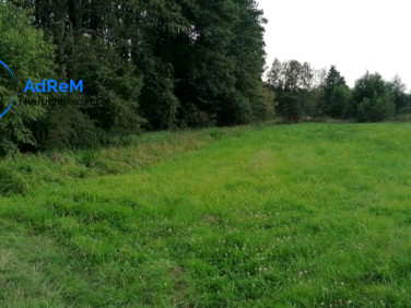 Działka budowlana Kierszek