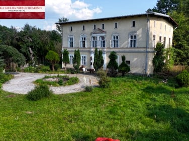Dom Międzylesie