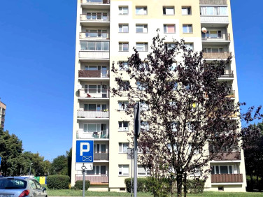 Mieszkanie Łódź