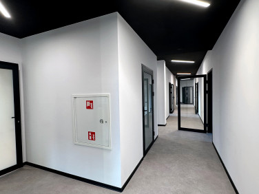 Lokal Katowice wynajem