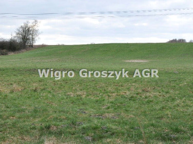 Działka siedliskowa Komorów