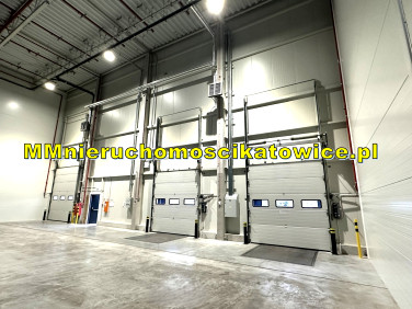 Budynek użytkowy Katowice