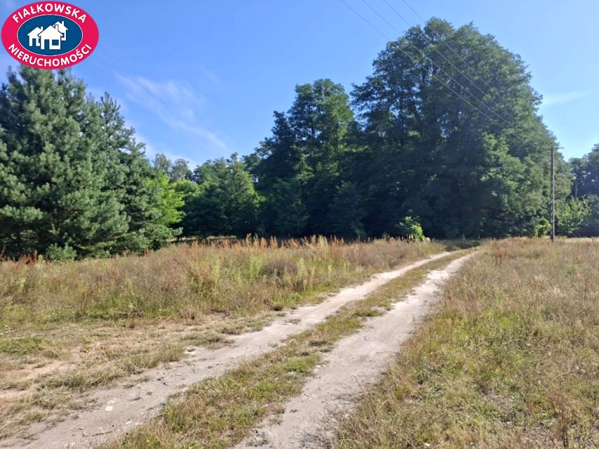 Działka inna Borszyce