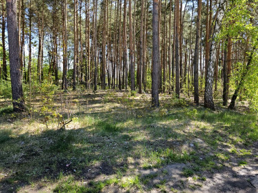 Działka budowlana Konstancin-Jeziorna