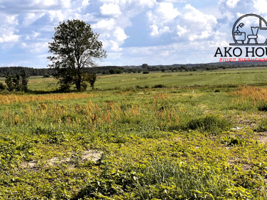 Działka Jaworówka