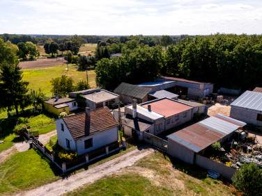 Działka usługowa Dalików