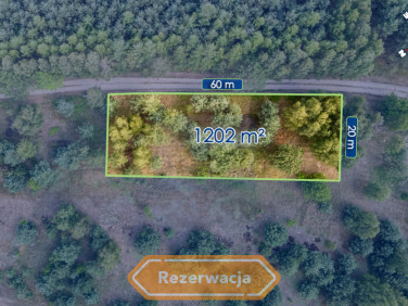 Działka Truskolasy