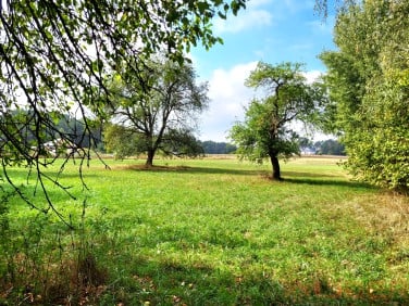 Działka Choroszcz