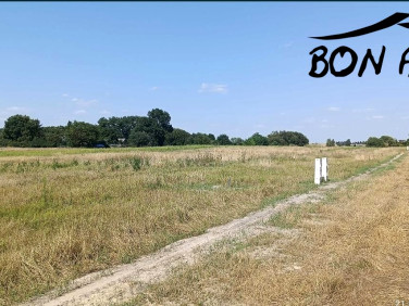 Działka Pamiątkowo