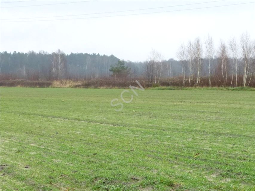 Działka rolna Dziecinów