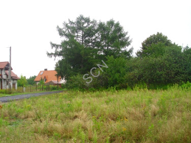 Działka Zakręt