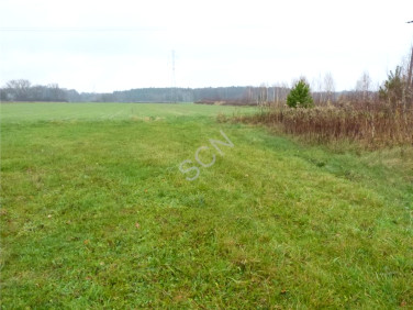 Działka rolna Dziecinów sprzedam