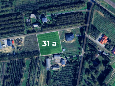 Działka siedliskowa Motycz sprzedam