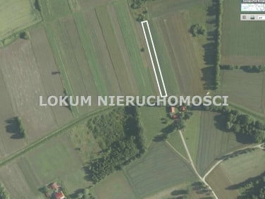 Działka rolna Dąbrówki Breńskie