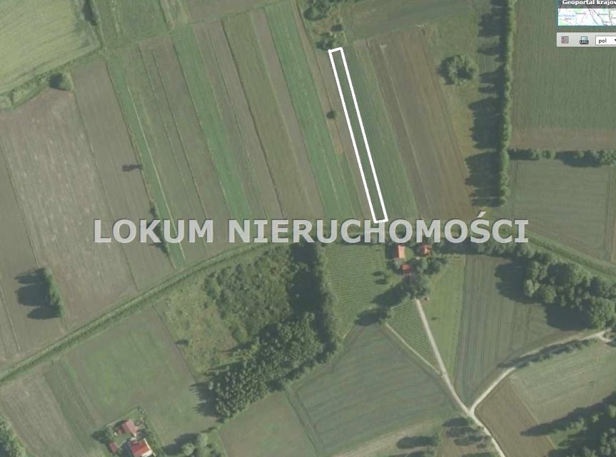 Działka rolna Dąbrówki Breńskie