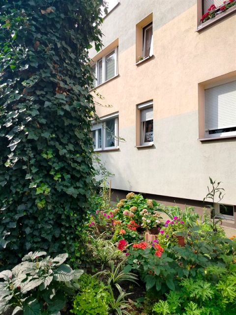 Mieszkanie Leszno