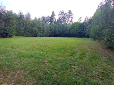Działka Rydzewo