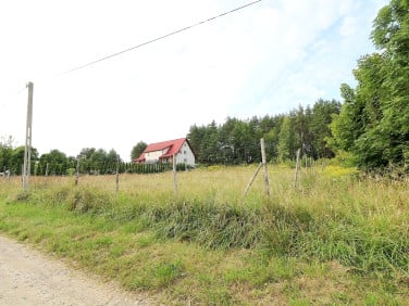 Działka Studzianki