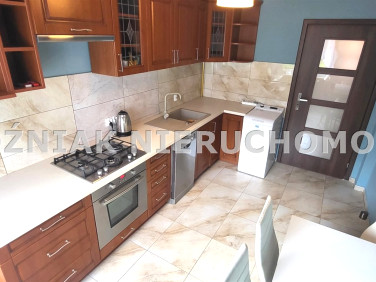 Mieszkanie dom wielorodzinny wynajem