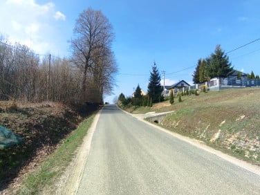 Działka Zwiernik