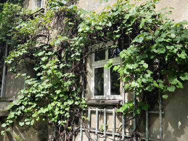 Dom Wrocław