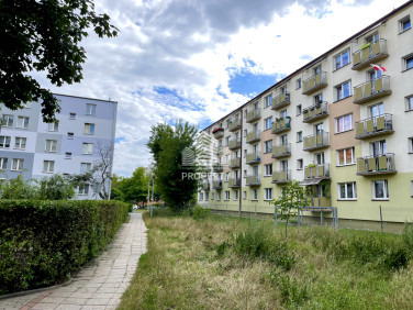 Mieszkanie Toruń