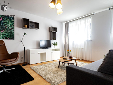 Mieszkanie Wrocław wynajem