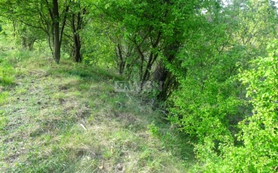 Działka leśna Radoszki